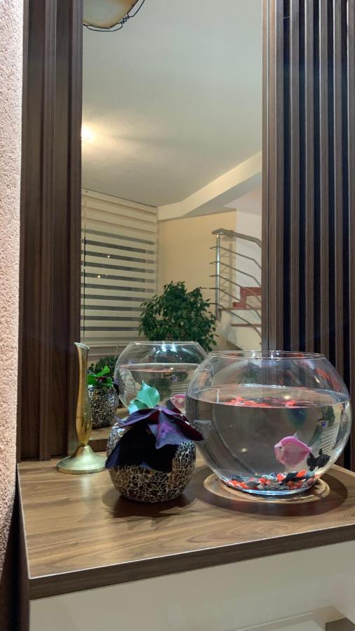 Guest House Nuhii Улцинь Экстерьер фото